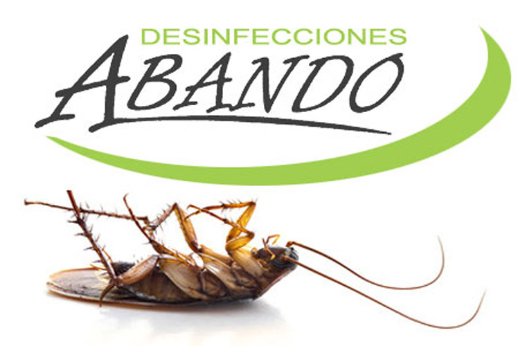 Fumigacion cucarachas